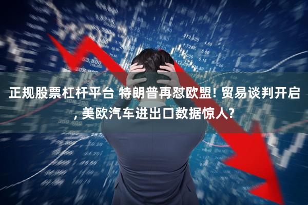 正规股票杠杆平台 特朗普再怼欧盟! 贸易谈判开启, 美欧汽车进出口数据惊人?